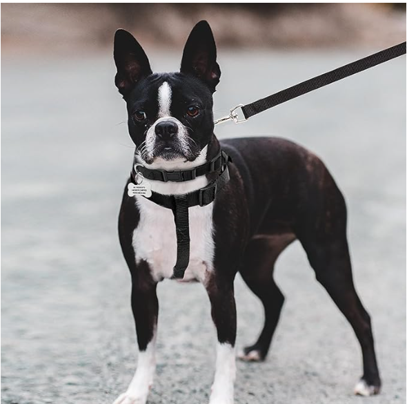 Pull Dog Harness - Step in pet Harness and Leash for Small Medium Large pet - Escape Proof Adjustable Soft Leash Collar Set for Walking Training Hiking Outdoor, 15 Cm, 15 Cm