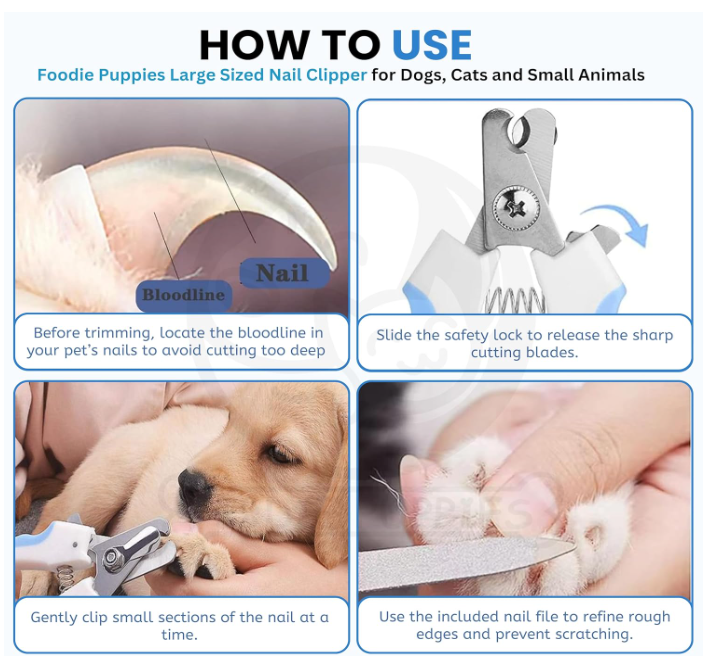 Foodie Puppies Professional Animal Nail Cutter Clipper Trimmer Filer - (Nail Clipper - Large) for Small, Medium, and Large Dogs, Puppies, Cats, and Kittens Claw Grooming Tool Set