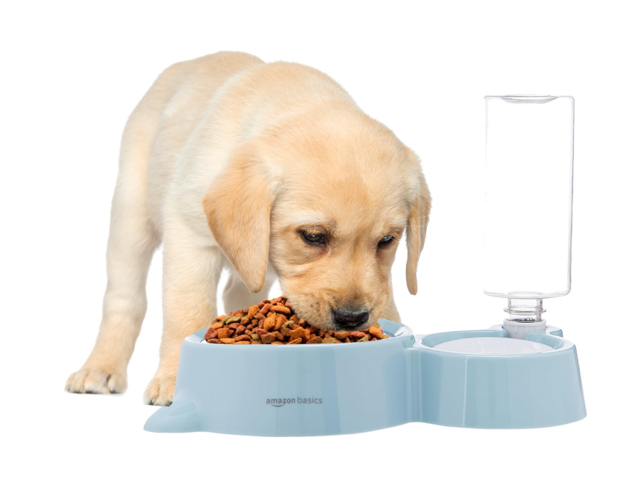 Basics 2 in 1 Pet Feeder Food and Water Dispenser| 450 Ml Stainless Steel Bowl| Automatic Water Dispensing Mechanism| Suitable for Cats and Dogs| LxWxH - 32 Cm X 22 Cm X 16.5 Cm